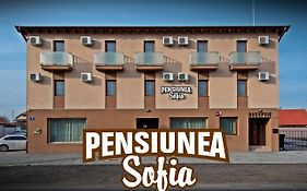 Pensiunea Sofia Pecica